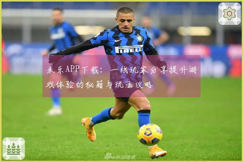 米乐APP下载：一线玩家分享提升游戏体验的秘籍与玩法攻略