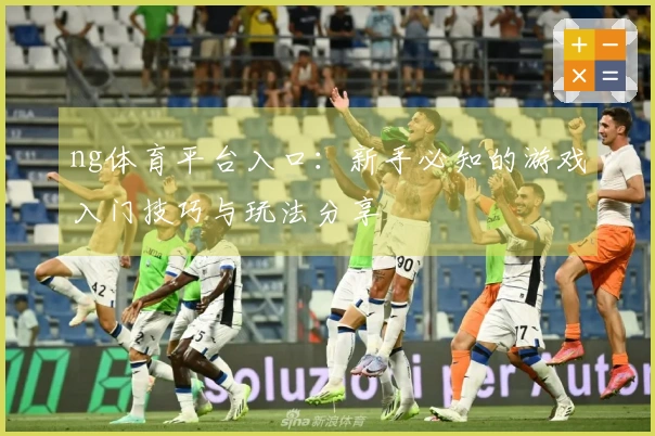 ng体育平台入口：新手必知的游戏入门技巧与玩法分享
